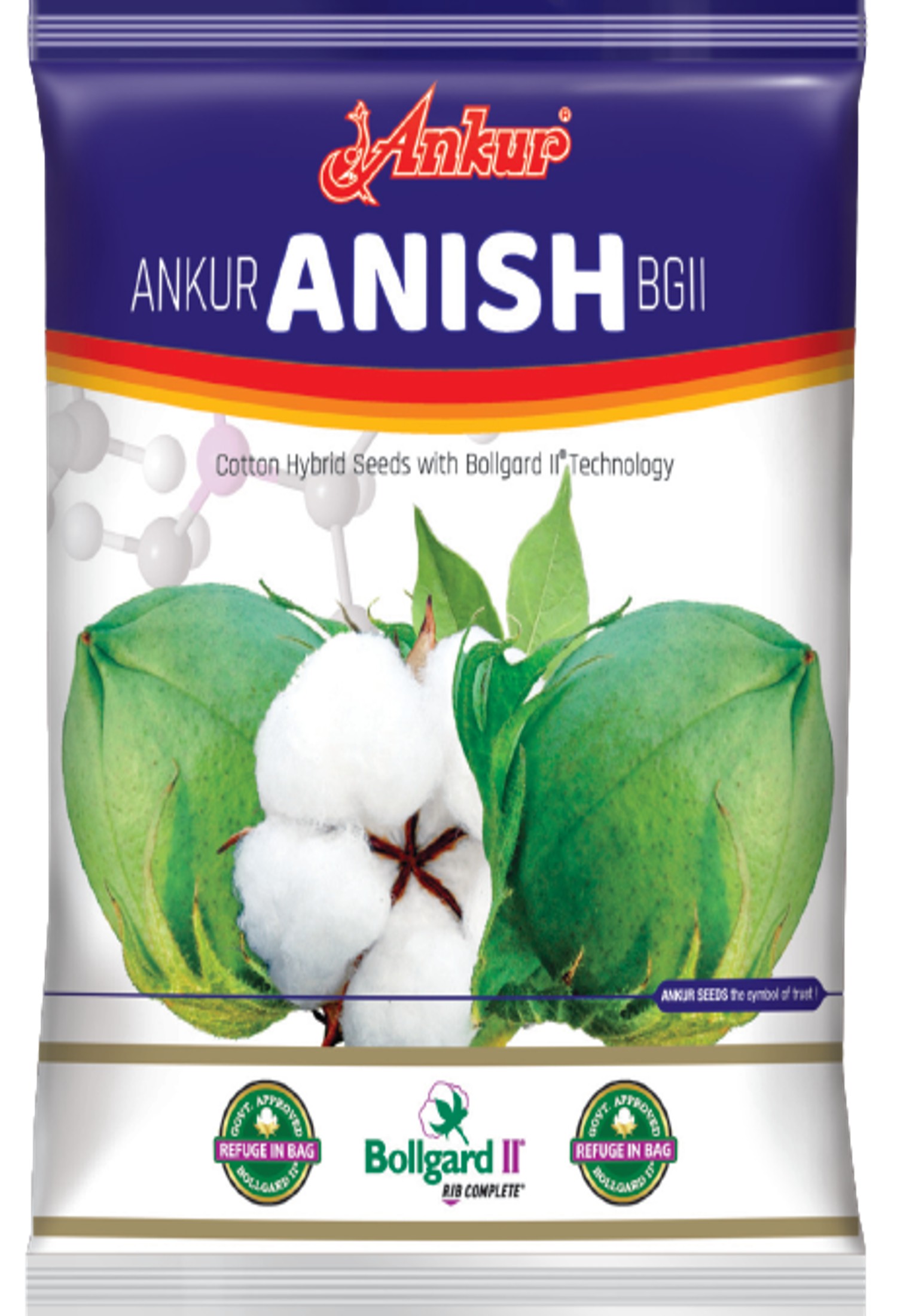 Ankur Anish BG II 